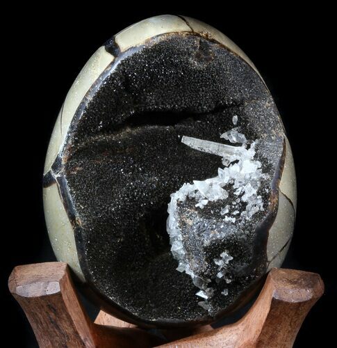 Septarian Dragon Egg Geode - Shiny Black Crystals #34714